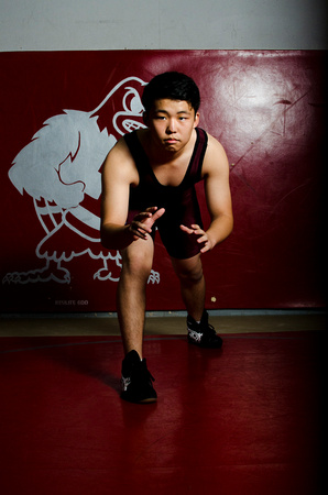 Wrestling 