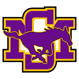 Mustangs Mustangs