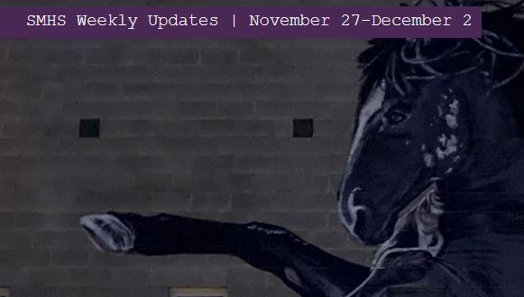  Weekly Updates