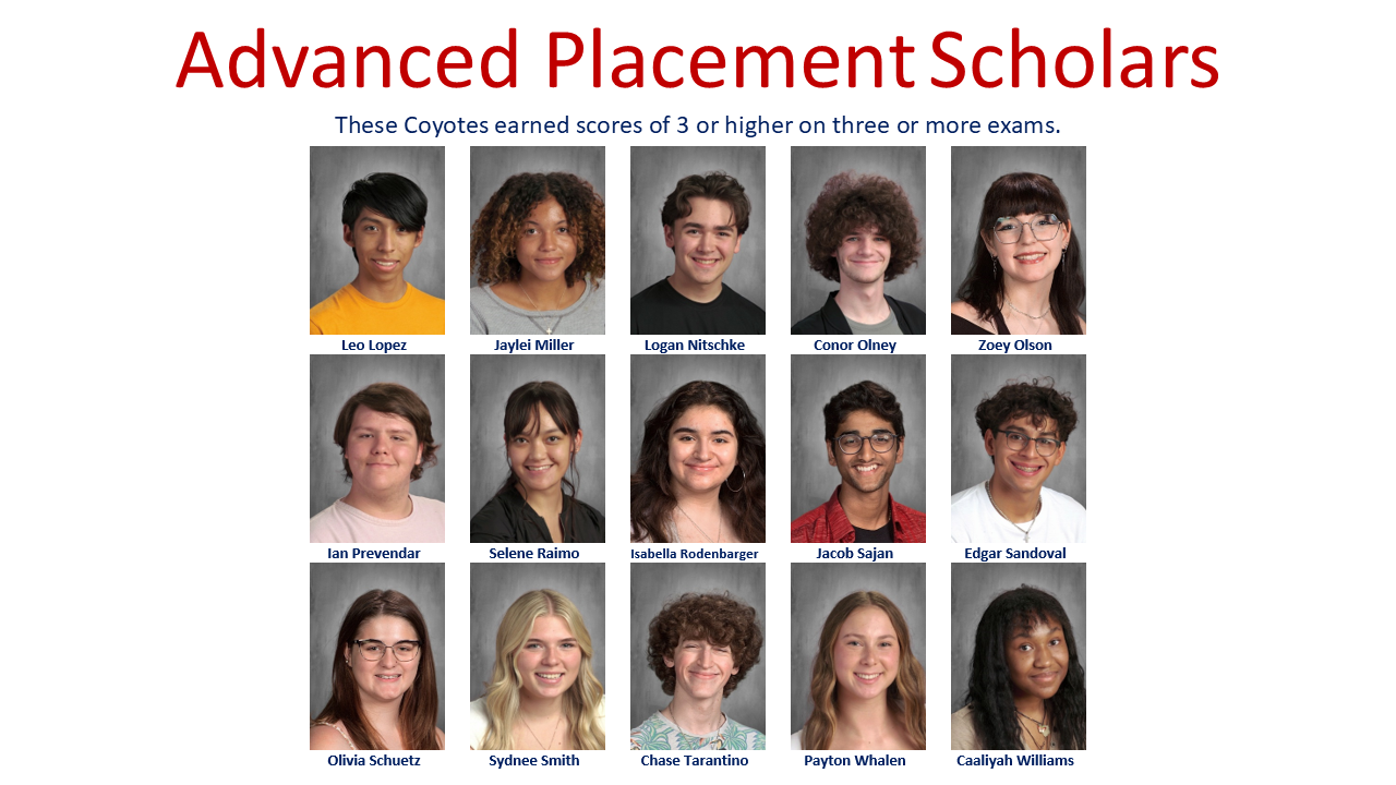 AP Scholars 2