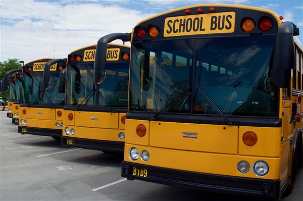 Row of buses Row of buses